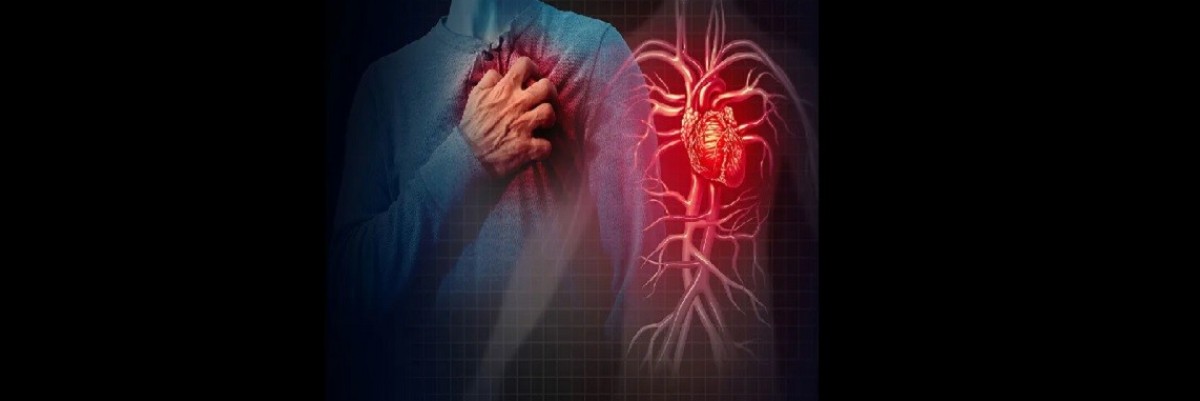 Kalp Krizi Faktörleri