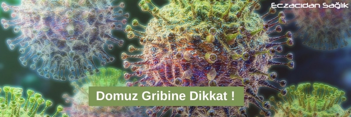 Domuz Gribine Dikkat