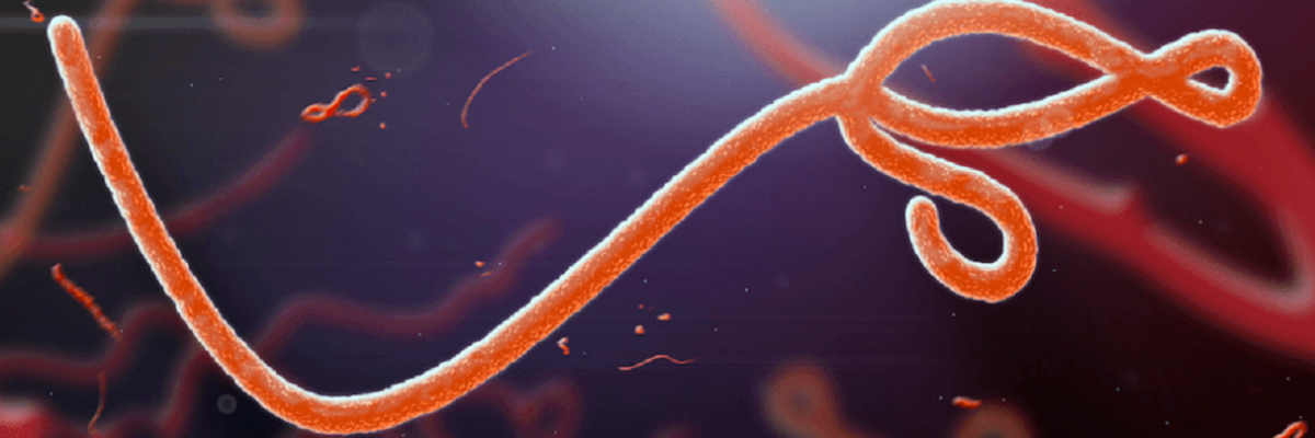 Vücut sıvısı ve hava ile bulaşıyor: Ebola
